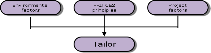 Prince2 Tailoring